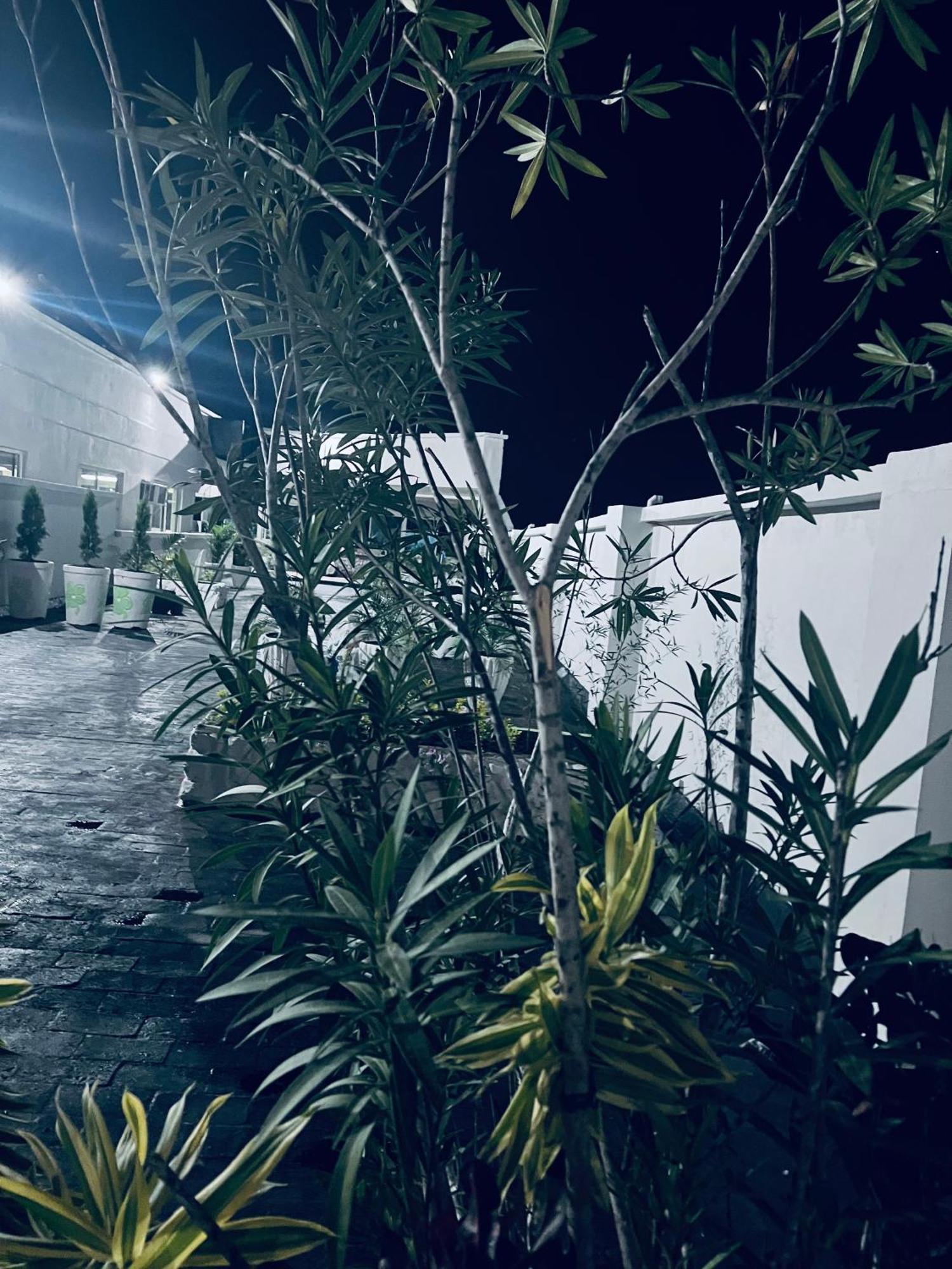 Los Guacamayos Λα Σέιμπα Εξωτερικό φωτογραφία